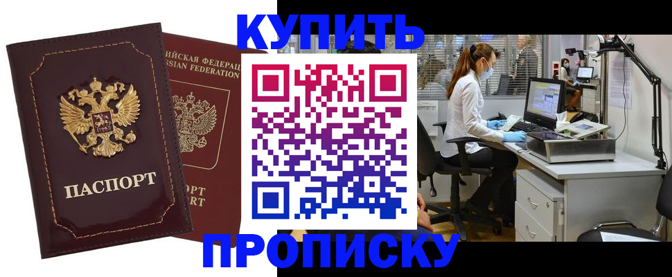 прописка гарантия в Светлограде